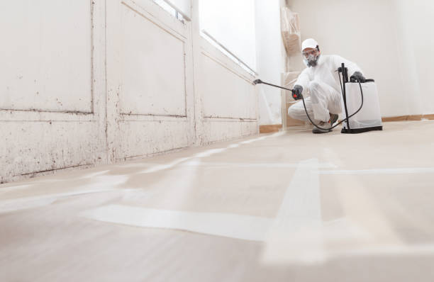 24/7 Emergency Black Mold Remediation experts in Leesburg, VA
